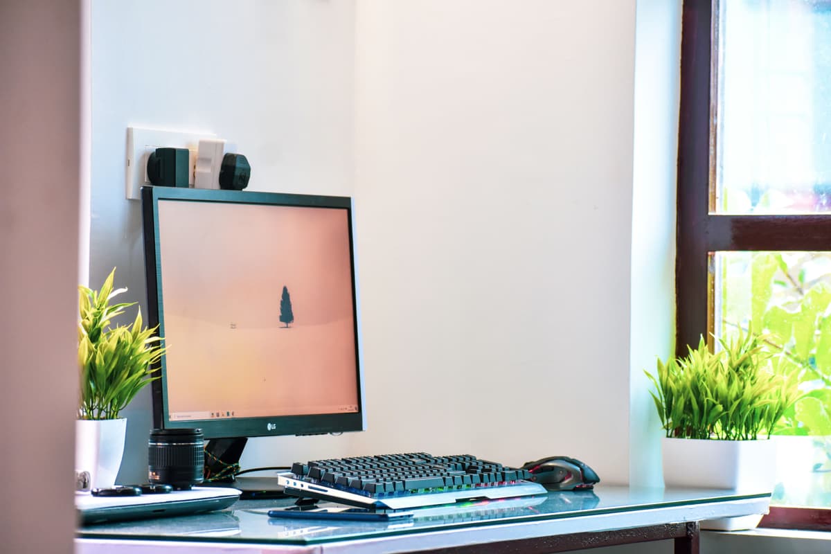 Bright window view from an office desk